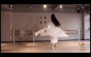 天骄艺校成人舞蹈视频,轻松入门，舞动人生新篇章