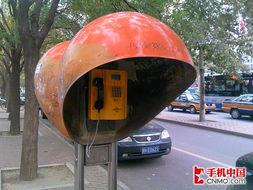 游乐场成人骑车视频,揭秘游乐场成人骑车项目精彩瞬间