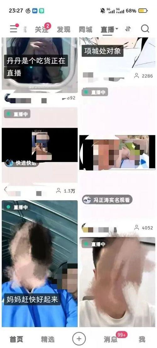 在线成人为视频,在线成人视频的潮流与影响