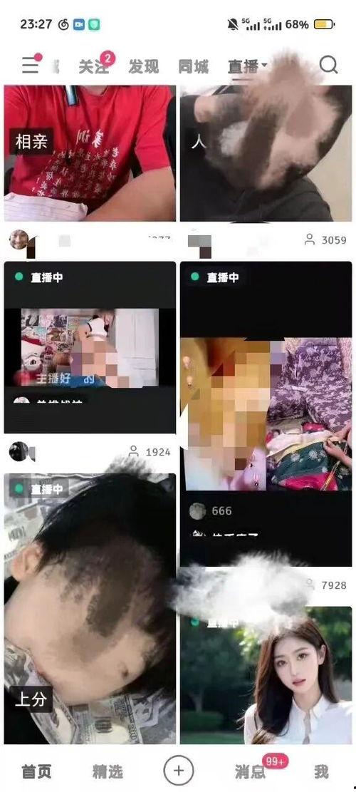 在线成人为视频,在线成人视频的潮流与影响