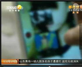 在线成人为视频,在线成人视频的潮流与影响