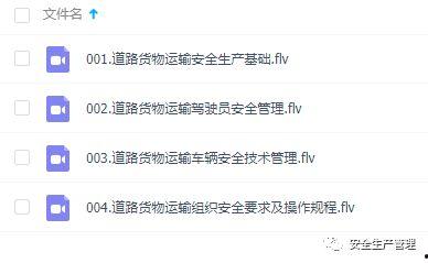 成人认知案例视频讲解,揭秘心智发展奥秘