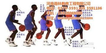 成人篮球表演视频下载,精彩表演视频下载回顾