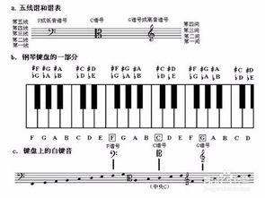 成人弹钢琴初学视频,跟随视频轻松入门弹奏技巧
