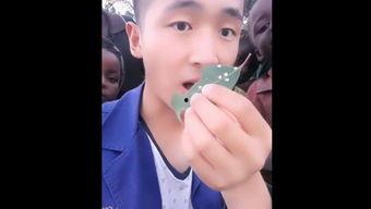 成人黑牙齿视频大全播放,视频大全带你了解口腔健康秘密