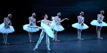 成人独舞舞蹈表演视频,成人独舞的激情演绎