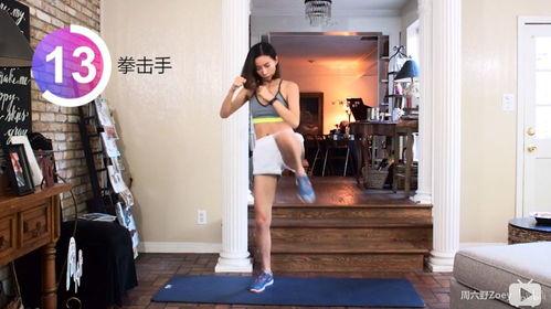 居家锻炼视频成人篇下载,成人篇精选动作解析与效果展示