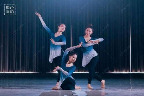 高阳成人舞蹈古典视频,优雅传承，舞动时光