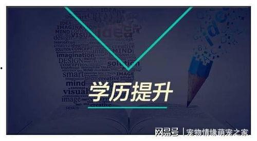 成人学习激励视频,成人学习激励视频深度解析