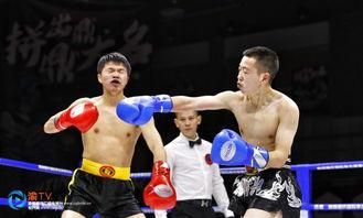 业余成人拳击比赛视频,业余成人拳击赛事精彩瞬间回顾